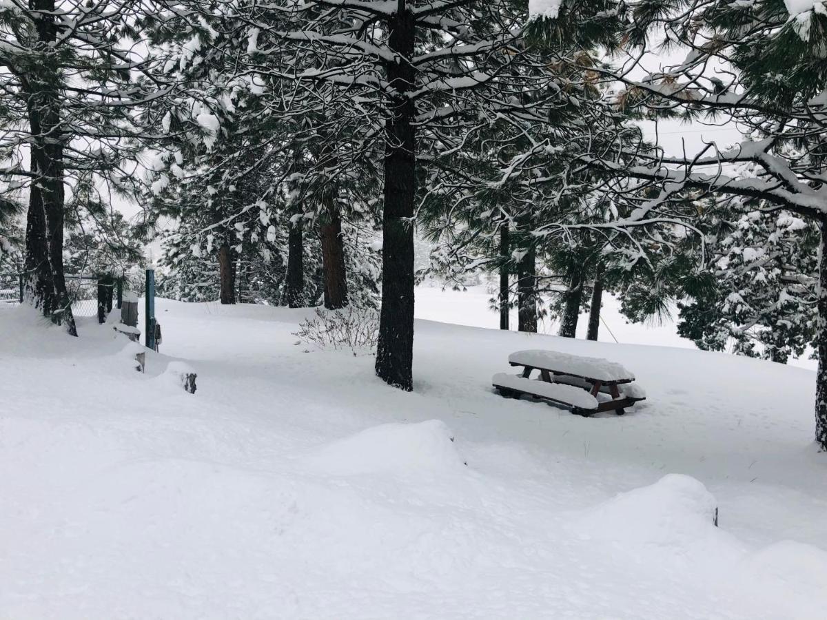 Mountain View Cabins Wrightwood Ngoại thất bức ảnh